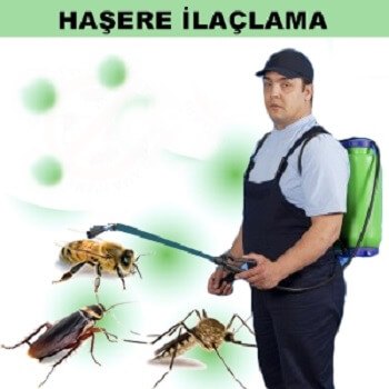 Ekinözü Böcek İlaçlama